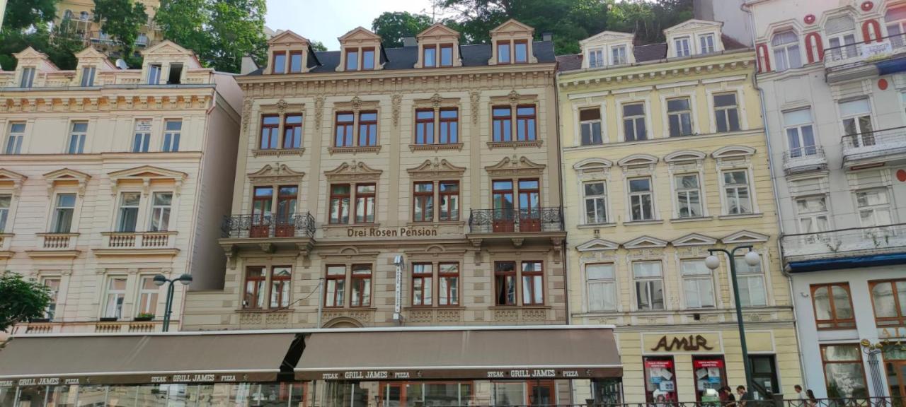 Pension Drei Rosen Karlovy Vary Exterior photo